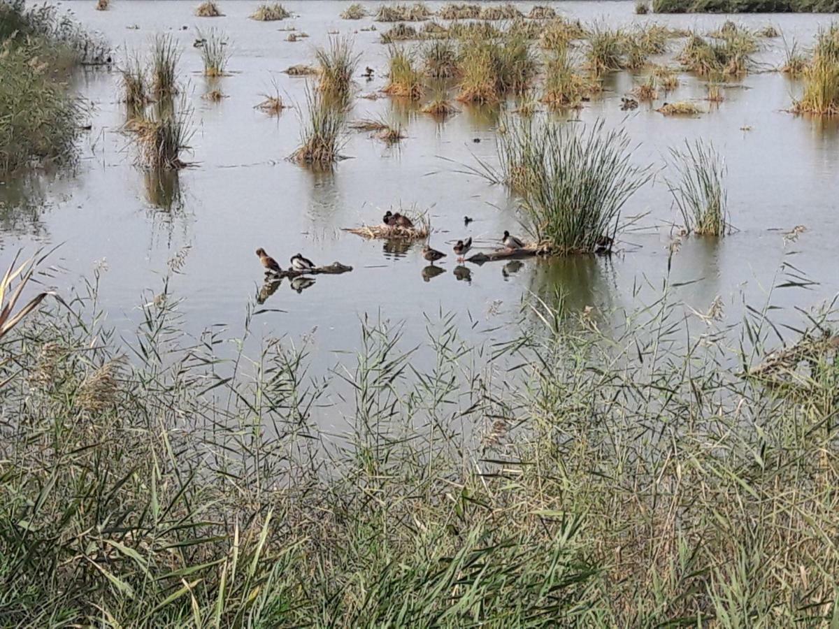Lo Segador ξενώνας El Poble Nou del Delta Εξωτερικό φωτογραφία